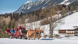 Pferdeschlittenfahrt in der Region Wilder Kaiser