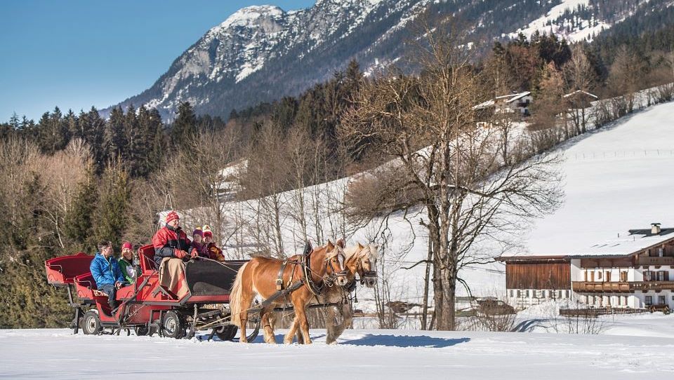 Pferdeschlittenfahrt in der Region Wilder Kaiser