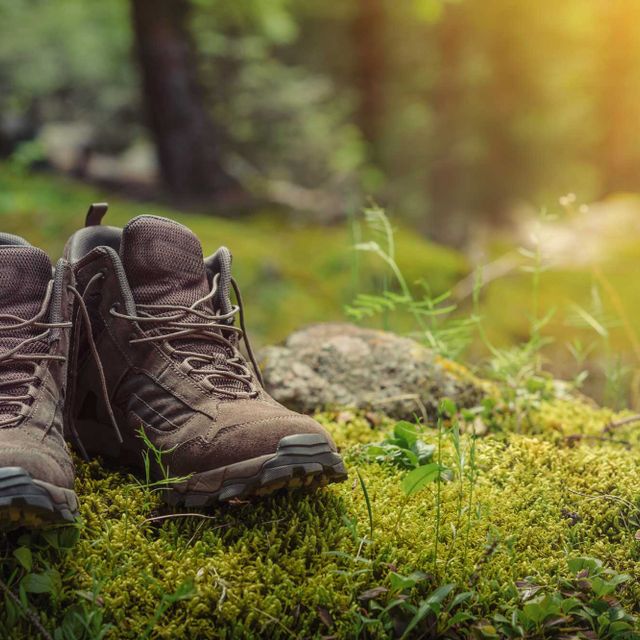 Bergbegeisterte wandern in der Tiroler BergWelt