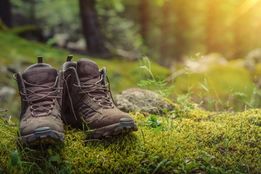 Wandern in den Kitzbüheler Alpen