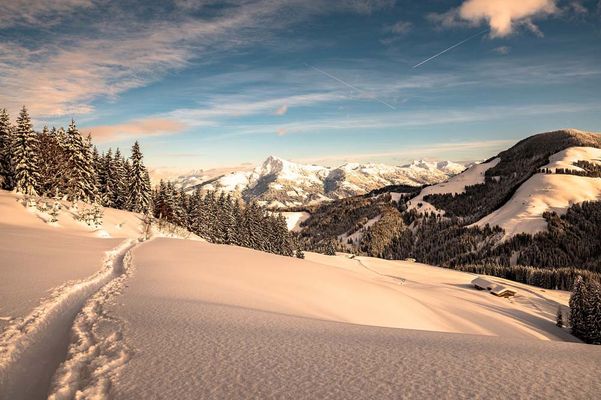 APART deluxe Schneelandschaft