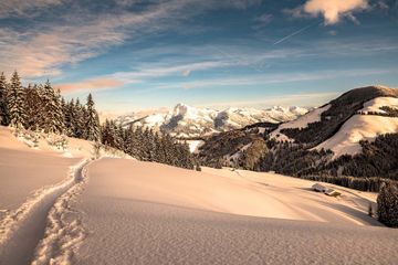 APART deluxe Winter landscape